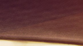 Conductora estresada y decepcionada