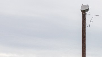 Imagen de un patio de encierro en el que se ven cajas de camiones y un letrero con el logotipo de la empresa Tyson Foods.