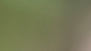 Investigadores de la Universidad Estatal de Colorado analizaron diferentes tipos de cerveza y la estabilidad química de la bebida cuando es envasada en vidrio o lata. / Foto: Getty Images