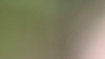 Investigadores de la Universidad Estatal de Colorado analizaron diferentes tipos de cerveza y la estabilidad química de la bebida cuando es envasada en vidrio o lata. / Foto: Getty Images