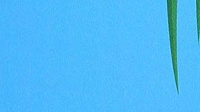 Martha Higareda habla de Robert Pattinson | Mezcalent.