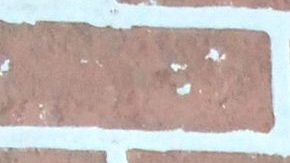 Arleth Terán envía condolencias a Maribel Guardia | Mezcalent.