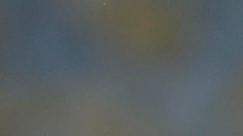 Marcelo ganó un campeonato en su regreso a Brasil