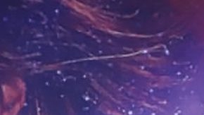 Mariana Seoane sale con el Güero Castro | Mezcalent