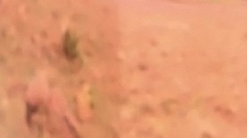 Eduin Caz de Grupo Firme se puso borrachera | Mezcalent.