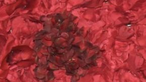 Aylin Mujica presenció terrible accidentre en globo aerostático en México.