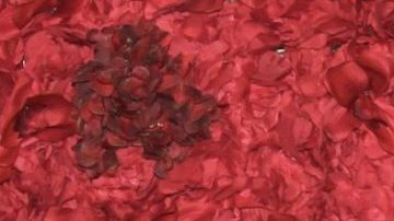 Aylin Mujica presenció terrible accidentre en globo aerostático en México.