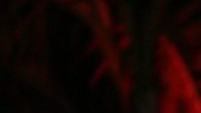 Myrka Dellanos asegura que a Luis Miguel sí le dolió la pérdida de Andrés García.