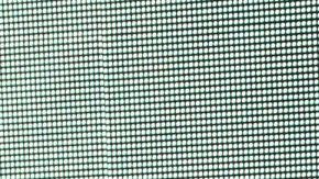 Erika Buenfil desató la polémica con Emmanuel Palomares.