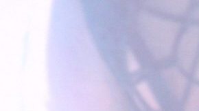 Danna Paola lanzará colaboración con Steve Aoki.