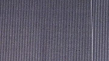 Patricia Bernal habló del beso entre Gael García y Bad Bunny.