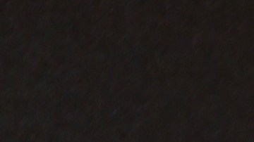 Adamari López ganaría millonadas en Telemundo | Mezcalent.