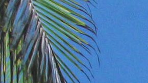 Alessandra Rosaldo habla de los Derbez | Mezcalent