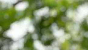 “Un día llegué a ganar US$14.000 en apuestas deportivas online y a la hora y media ya no tenía nada”