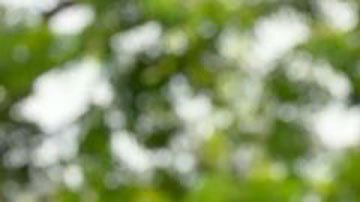 “Un día llegué a ganar US$14.000 en apuestas deportivas online y a la hora y media ya no tenía nada”