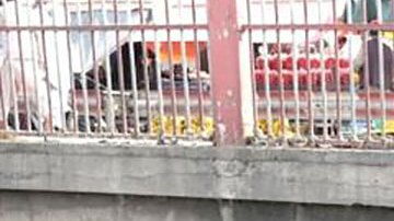 El duro operativo del Talibán para sacar a los drogadictos de las calles