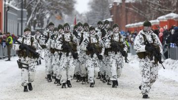 Finlandia se une a la OTAN: el nuevo mapa que muestra cómo la Alianza Atlántica duplica su frontera con Rusia