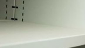 Por qué Dinamarca tiene casi 10.000 cerebros almacenados (y la controversia que genera)