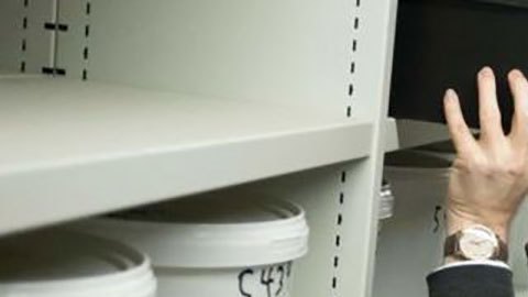 Por qué Dinamarca tiene casi 10.000 cerebros almacenados (y la controversia que genera)