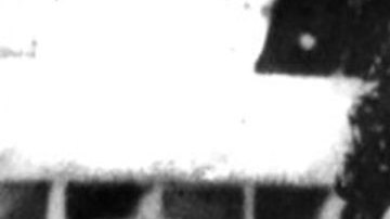 Revolución Mexicana: los magonistas, los mexicanos que encendieron el movimiento desde EE.UU. "armados de pluma y papel"