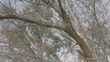 Edgar Martins ha sido nombrado Fotógrafo del Año por su serie Our War.