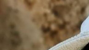 Yuliana Bedolla, la científica mexicana premiada en Londres por proteger a las aves nocturnas de islas del Pacífico