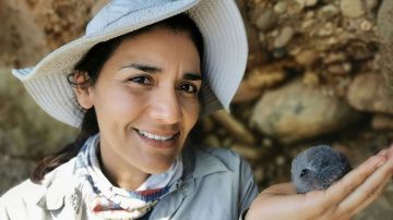 Yuliana Bedolla, la científica mexicana premiada en Londres por proteger a las aves nocturnas de islas del Pacífico