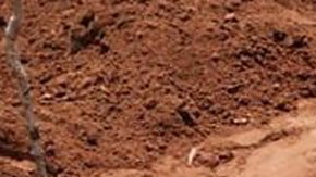 3 sectas “apocalípticas” que llevaron a sus miembros a suicidios en masa