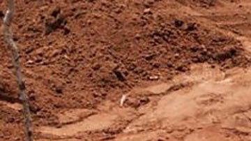 3 sectas “apocalípticas” que llevaron a sus miembros a suicidios en masa