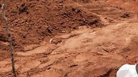 3 sectas “apocalípticas” que llevaron a sus miembros a suicidios en masa