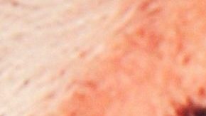 Vicente Fernández Jr. | Mezcalent.