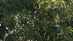 Comando armado irrumpe en balneario en México y deja siete muertos