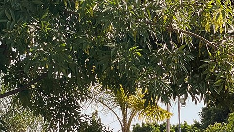 Comando armado irrumpe en balneario en México y deja siete muertos