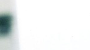 3614-JOAN-SEBASTIAN-2arch1995