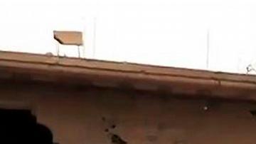 Ataque contra civiles que recogían trufas deja 31 muertos en Siria