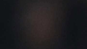 Edson Álvarez, figura del Ajax de Amsterdam de Países Bajos.