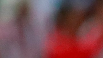 Las Chivas de Guadalajara durante el Torneo Clausura 2023 de la Liga MX.