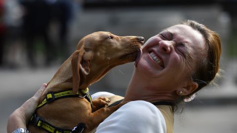 Mientras que ocho de cada 10 afirman que sus mascotas son su principal fuente de alegría. / Foto: Getty Images