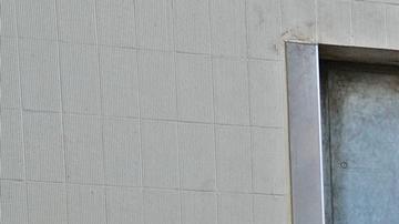 Un elefante del zoo de Berlín aprende por sí mismo a pelar plátanos