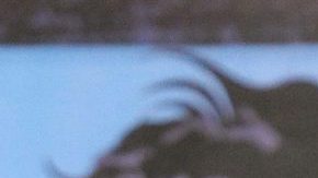 Aleks Syntek quiere escuchar una de sus canciones en versión regional mexicano.