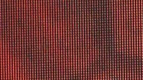 Paul Stanley insulta a Galilea Montijo | Mezcalent.