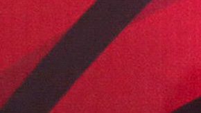 Madrastra de Gael García Bernal vende su ropa interior | Mezcalent.