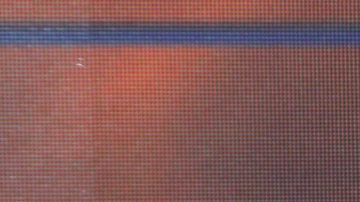 Andrea Legarreta posa en familia con su ex Erik Rubín.