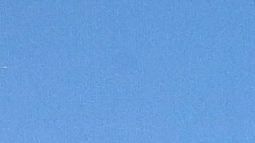 Maribel Guardia presume las flores que llegaron para recordar a su hijo Julián Figueroa | Mezcalent.