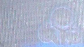 Maribel Guardia por fin habla con la prensa sobre la muerte de su hijo Julián Figueroa | Mezcalent.