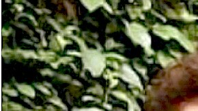 Esto pasará con la herencia de Julián Figueroa | Mezcalent.