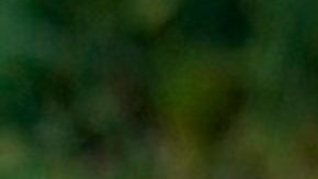 Alexa Dellanos, modelo, influencer e hija de Myrka Dellanos en una playa de Miami.