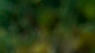 Alexa Dellanos, modelo, influencer e hija de Myrka Dellanos en una playa de Miami.