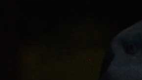 Andrés García siempre muy estricto en que respetara su voluntad en los proyectos donde participaba