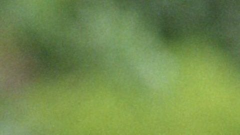 Andrés García durante una sesión de fotos en México en 1998.